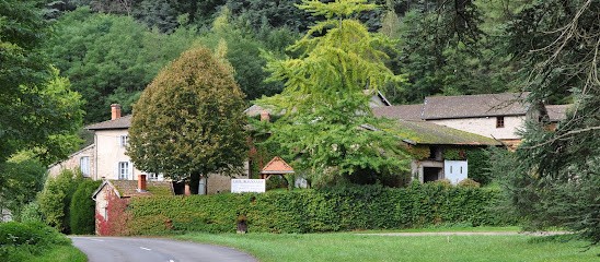 Maison J.B.CLAIR, Vignoble à Renaison