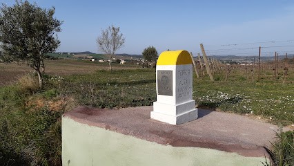 Blanquette Damoiselle et borne connectée, Vignoble à La Digne-d'Aval