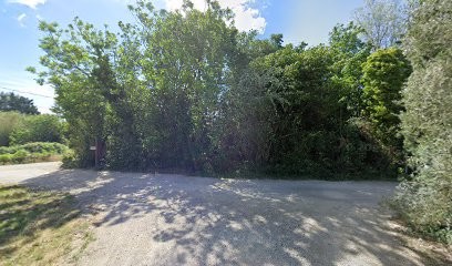 Domaine des Orgnes, Vignoble à Montfrin