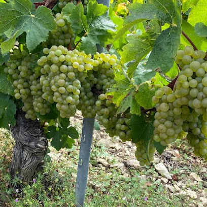 Domaine Des Acacias Vignoble à Chablis