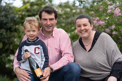 Champagne Adrien Herbelet Vignoble à Chaumuzy