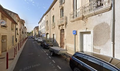 Taïx Patrice, Vignoble à Magalas