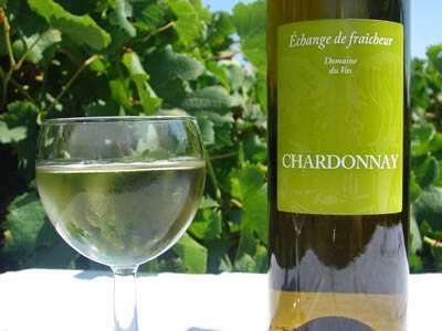 Domaine Du Vas Vignoble à Aubignan