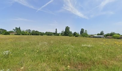 Nouhaud Et Filles (SCEA), Vignoble à Saint-Christoly-de-Blaye