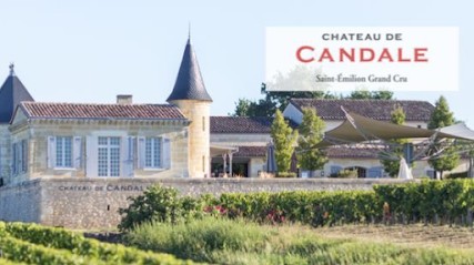 Château De Candale, Vignoble à Saint-Laurent-des-Combes