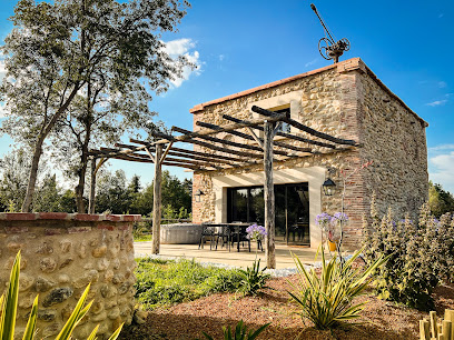 Mes Vignes Catalanes Vignoble à Thuir