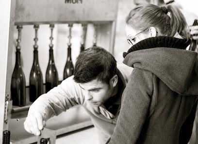 Julie et Jérémy Recchione, Vignoble à Messanges