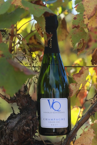 Vignobles & Quintessence, Vignoble à Vaudemange