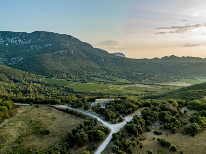 La Chouette Du Chai Vignoble à Cazevieille