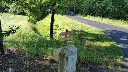 Societe Lagnet, Vignoble à Doulezon