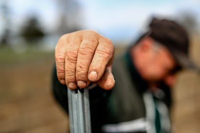 Vignobles Coudert, Vignoble à Villegouge