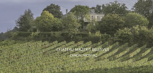 Château Mazeris Bellevue, Vignoble à Saint-Michel-de-Fronsac