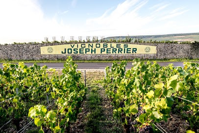 Champagne Joseph Perrier, Vignoble à Châlons-en-Champagne