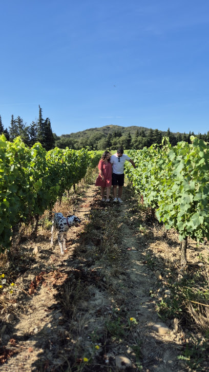 Domaine De Mathalis Vignoble à Tavel