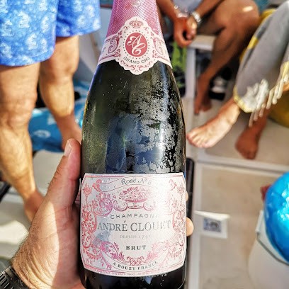 Champagne André Clouet, Vignoble à Bouzy