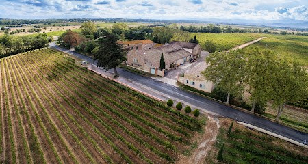 Domaine Lauriga, Vignoble à Thuir