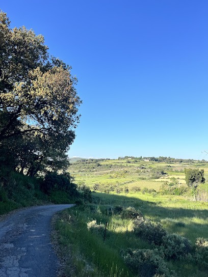 Domaine De Besse - Vin Bio - Vente Et Dégustation à La Propriété, Vignoble à Saint-Pargoire