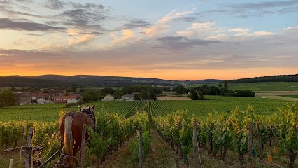 Domaine De L'Aubraine, Vignoble à Saint-Gengoux-de-Scissé