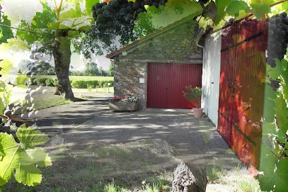 DOMAINE DE L'ESPERANCE, Vignoble à Sèvremoine