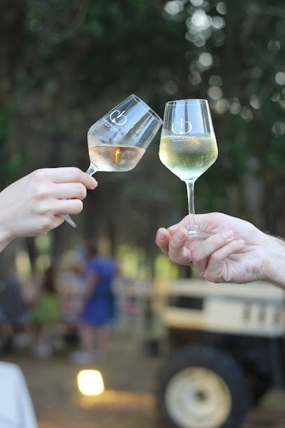 Château Boisset - Pic Saint Loup, Vignoble à Valflaunès