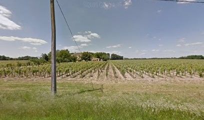 Château Andron de Lescours, Vignoble à Saint-Sulpice-de-Faleyrens