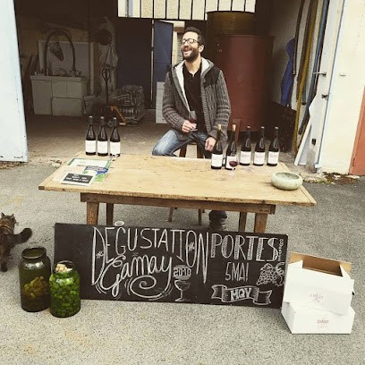 MQV Le Domaine Du Botaniste, Vignoble à Vaux-en-Beaujolais