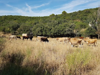 Domaine Léon Barral, Vignoble à Cabrerolles