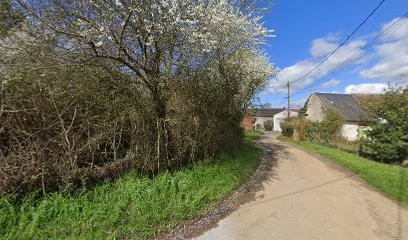 Domaine Des Sardelles, Vignoble à Sainte-Gemme-en-Sancerrois