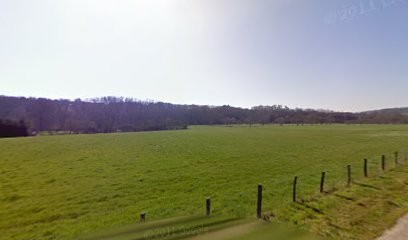Gaultier Ludovic, Vignoble à Beaulieu-sur-Layon