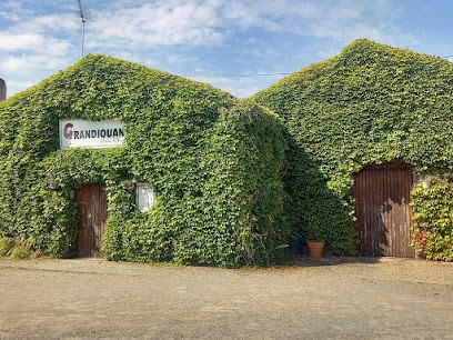Le Domaine Grandjouan, Vignoble à Saint-Mars-de-Coutais