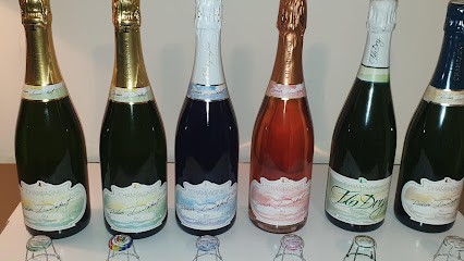 Dépit Didier, Vignoble au Breuil