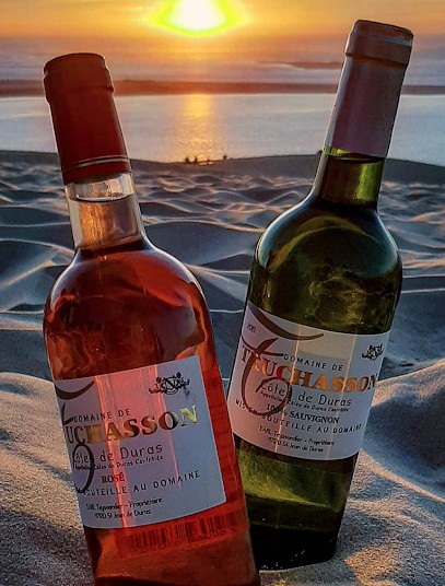 Domaine Du Grand Truchasson, Vignoble à Saint-Jean-de-Duras