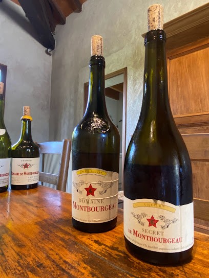 vin du jura domaine de montbourgeau, Vignoble à L'Étoile