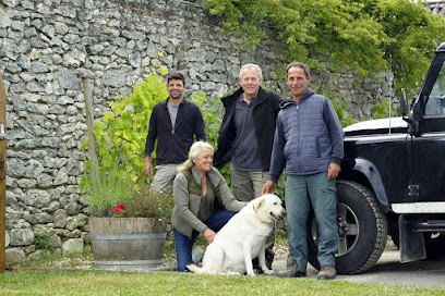 Château De Fayolle, Vignoble à Saussignac