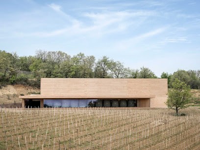 Les Davids, Vignoble à Viens