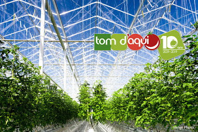 Tom D'aqui, Vignoble à Parentis-en-Born