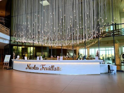 Champagne Nicolas Feuillatte, Vignoble à Chouilly