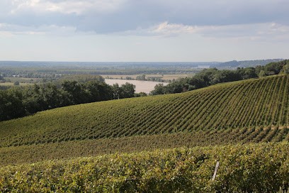 Vignobles Gonfrier, Vignoble à Lestiac-sur-Garonne