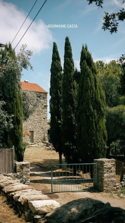 Domaine Casta - Vignoble, Vignoble à Santo-Pietro-di-Tenda