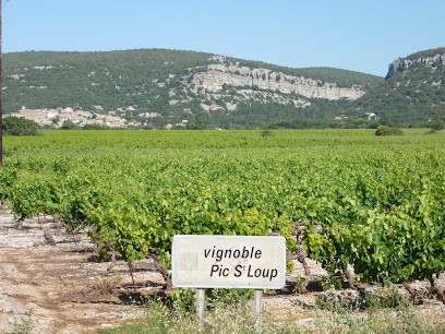 Domaine Les Grandes Costes, Vignoble à Vacquières
