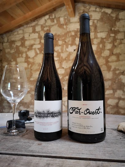 Domaine Mylène Bru, Vignoble à Saint-Pargoire