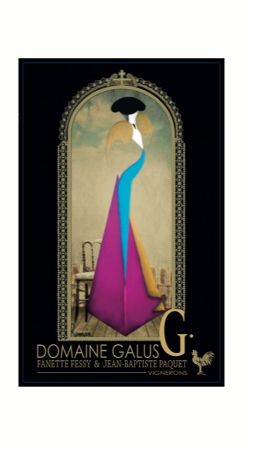 domaine galus, Vignoble à Meynes