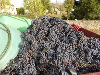 Clos Délice, Vignoble à Saint-Genès-de-Castillon