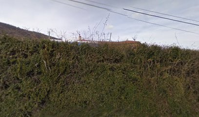 Jambon Florent, Vignoble à Saint-Étienne-la-Varenne