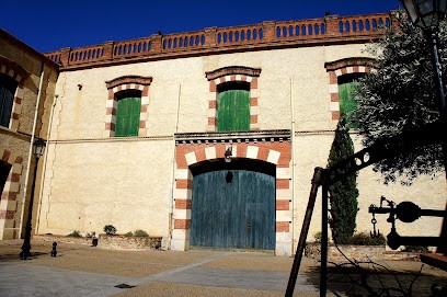 Château Cap De Fouste, Vignoble à Villeneuve-de-la-Raho