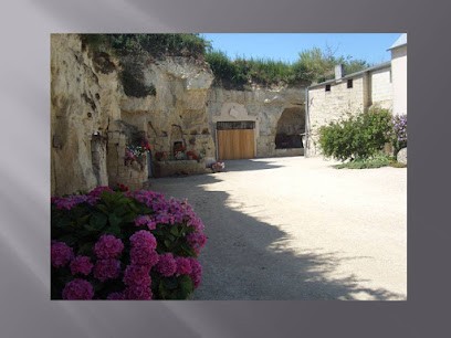 Domaine Du Grand Clos Famille Robert, Vignoble à Saint-Léger-de-Montbrillais