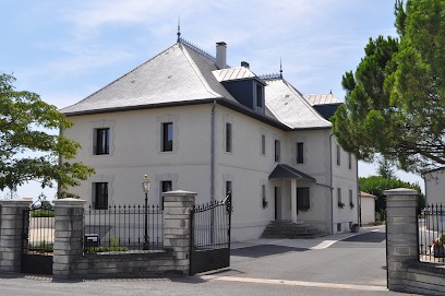 SARL Château Montifaud, Vignoble à Jarnac-Champagne