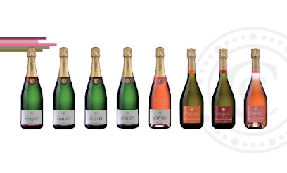 Champagne Marie Copinet, Vignoble à Villenauxe-la-Grande