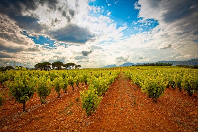 LES VIGNES DU VENT AGLY, Vignoble à Estagel