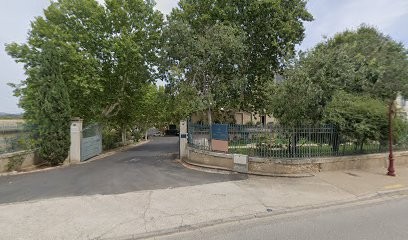 Diva Sud, Vignoble à Magalas